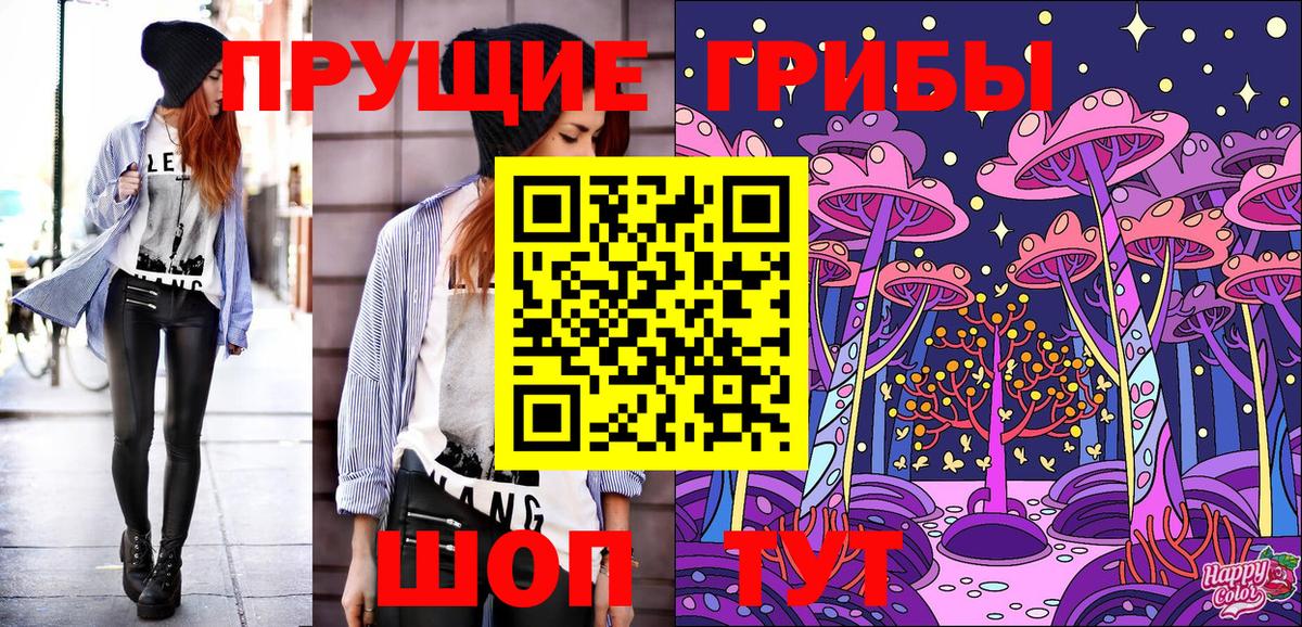 Кропоткин  Галлюциногенные грибы прущие грибы  Псилоцибиновые грибы прущие грибы  Вход с VPN 